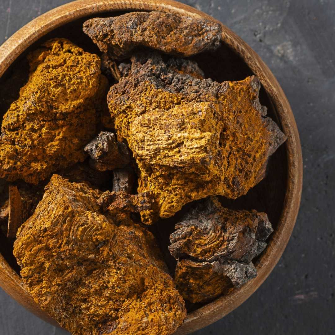 Chaga Mushroom