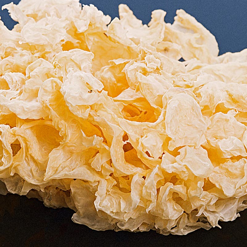 Tremella Mushroom