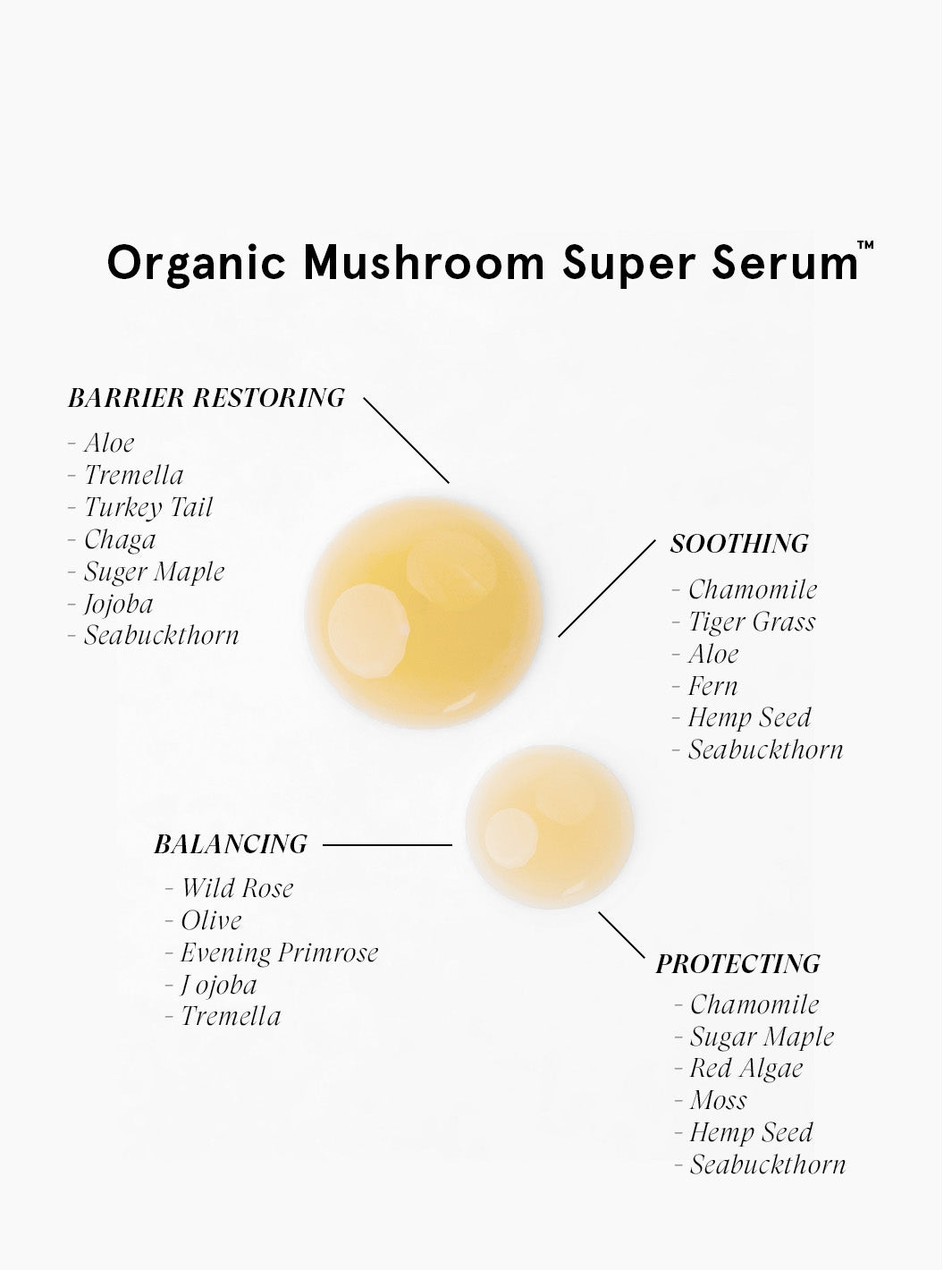 Mushroom Super Serum Skincare Natural Barrier Strengthening 