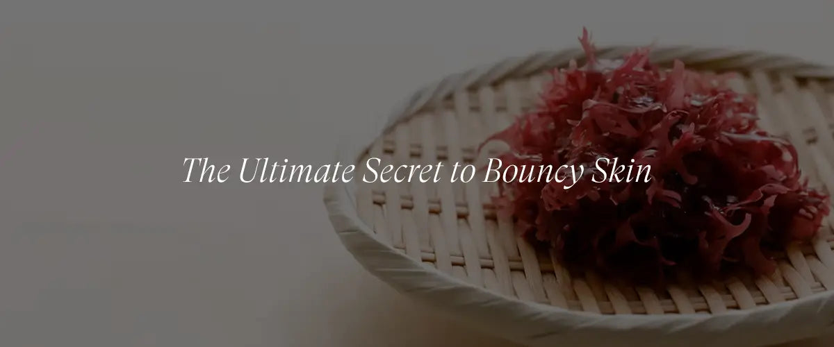 Red Algae Benefits for Improving Skin Firmness