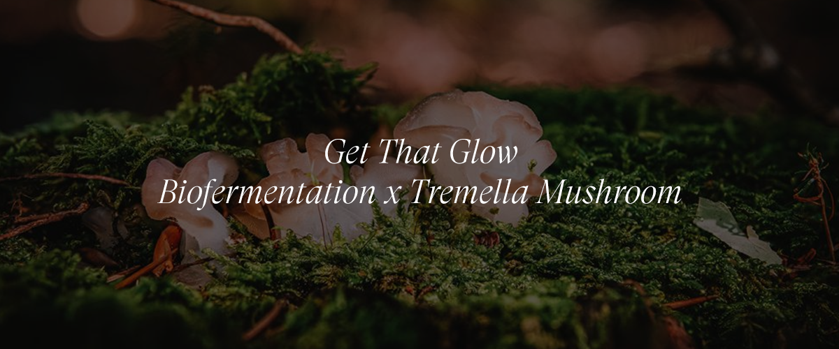 Tremella Mushroom and Biofermentation
