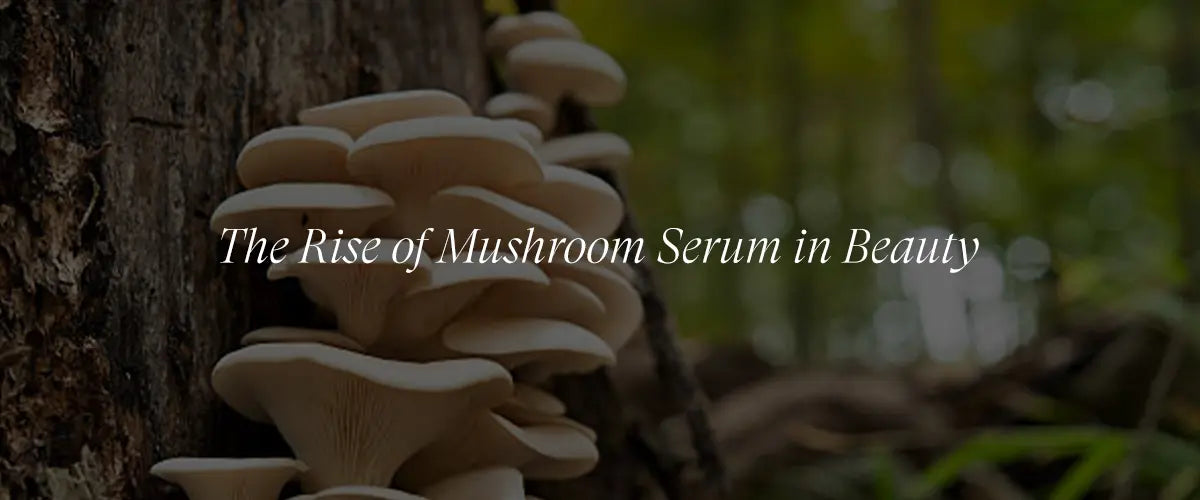 From Forest to Face: The Journey of Mushroom Serum in Skincare