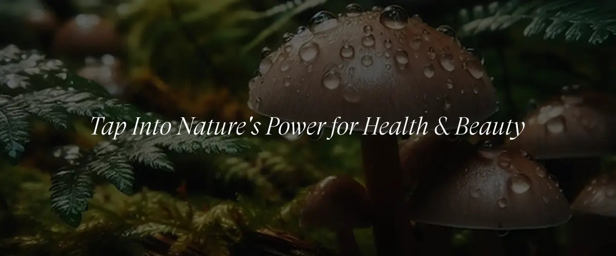 The Holistic Benefits of Mushroom Serum