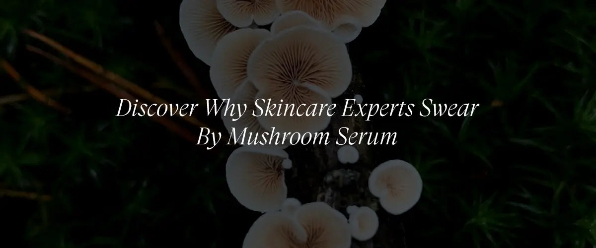 The Mushroom Serum Phenomenon: Why Skincare Experts are Obsessed
