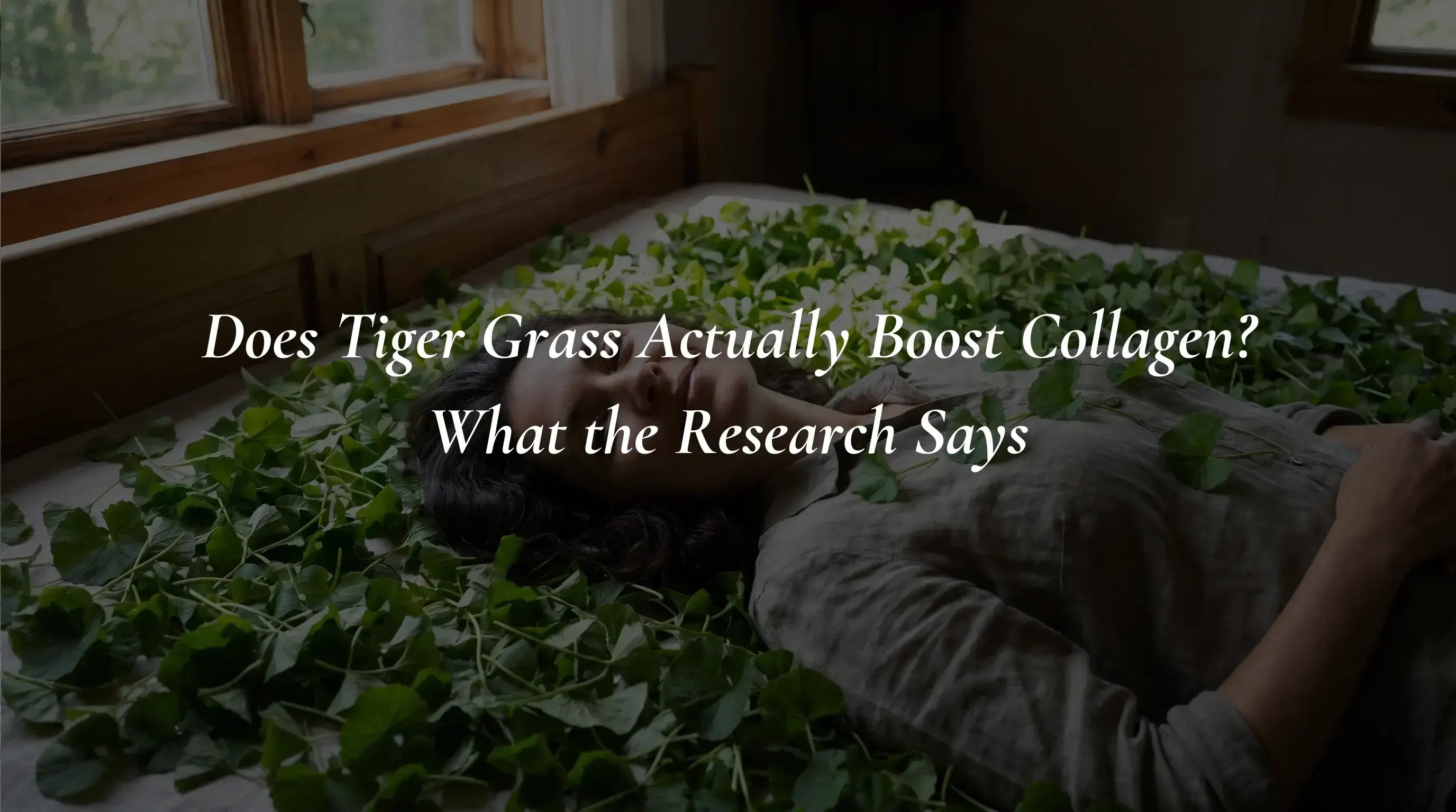 Does Tiger Grass Actually Boost Collagen? What the Research Says