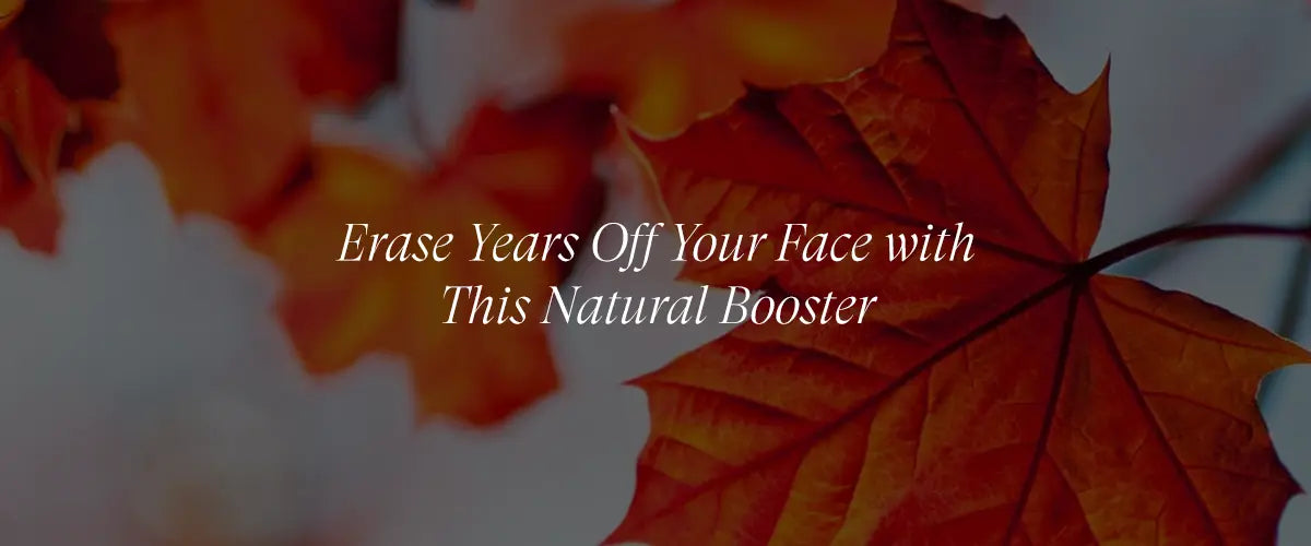 How Maple Leaf Extract Boosts Elastin for Next-Level Firmness