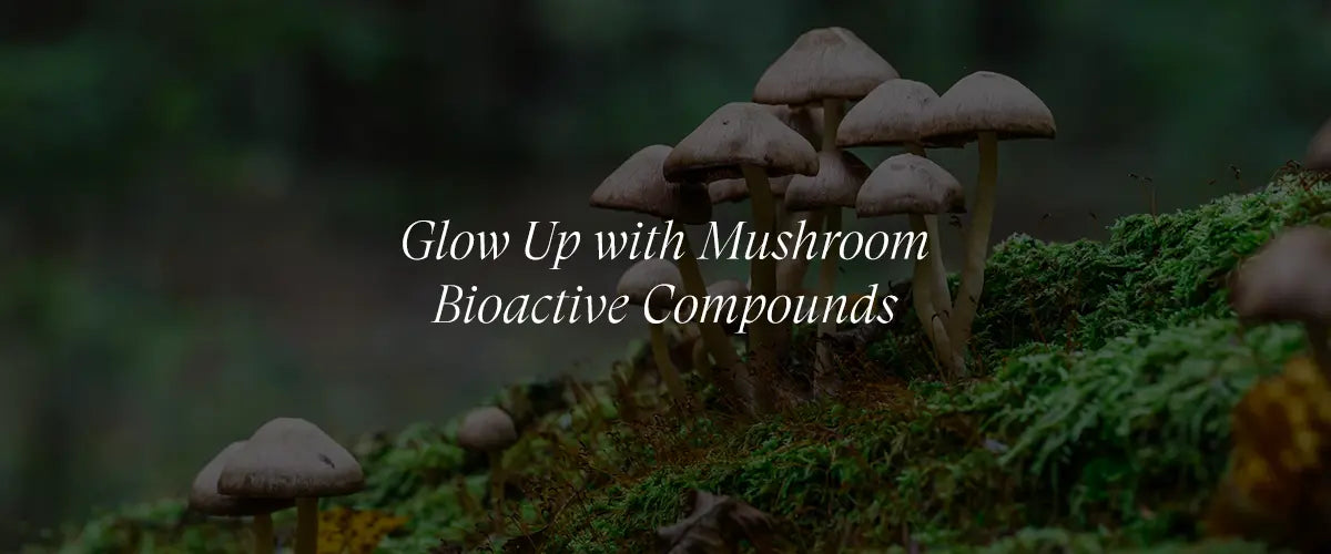 How Bioactive Compounds Transform Skin Health