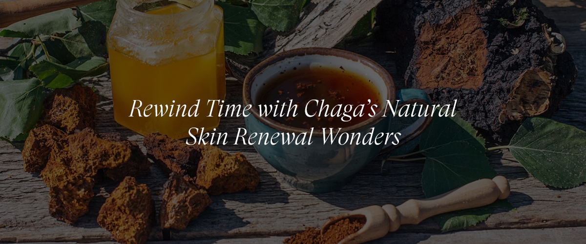 Chaga Mushroom for Anti-Aging and Skin Cell Renewal