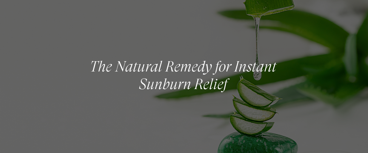Aloe Vera For Soothing Sunburns And Irritation