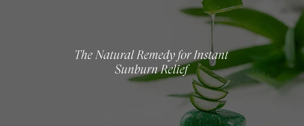 Aloe Vera For Soothing Sunburns And Irritation