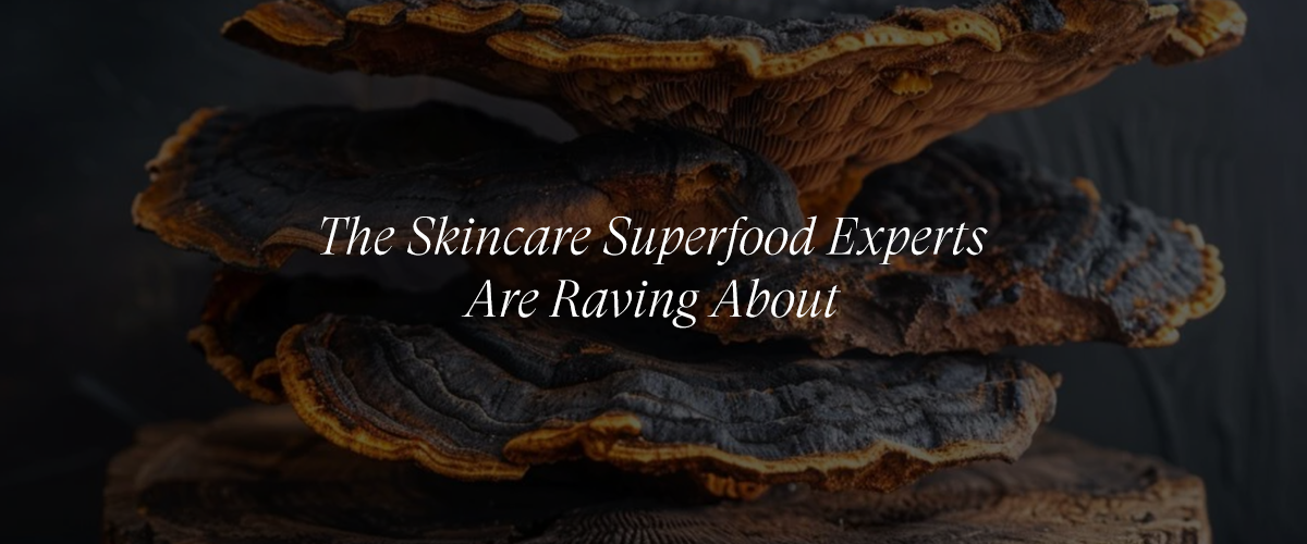 Chaga Mushroom: The Ultimate Skincare Superfood for Healthier Skin