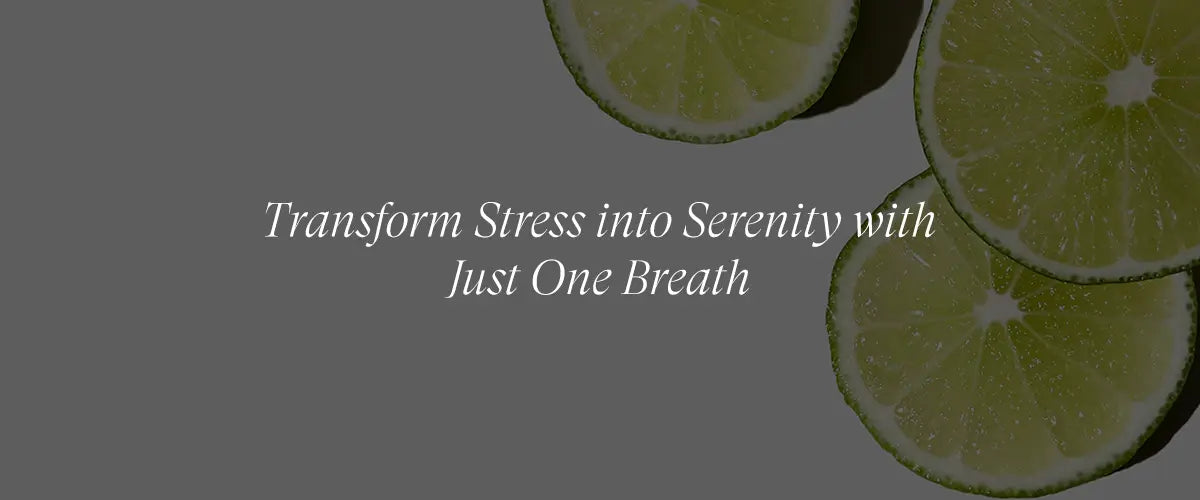 Bergamot Extract for an Uplifting Aromatherapy Boost