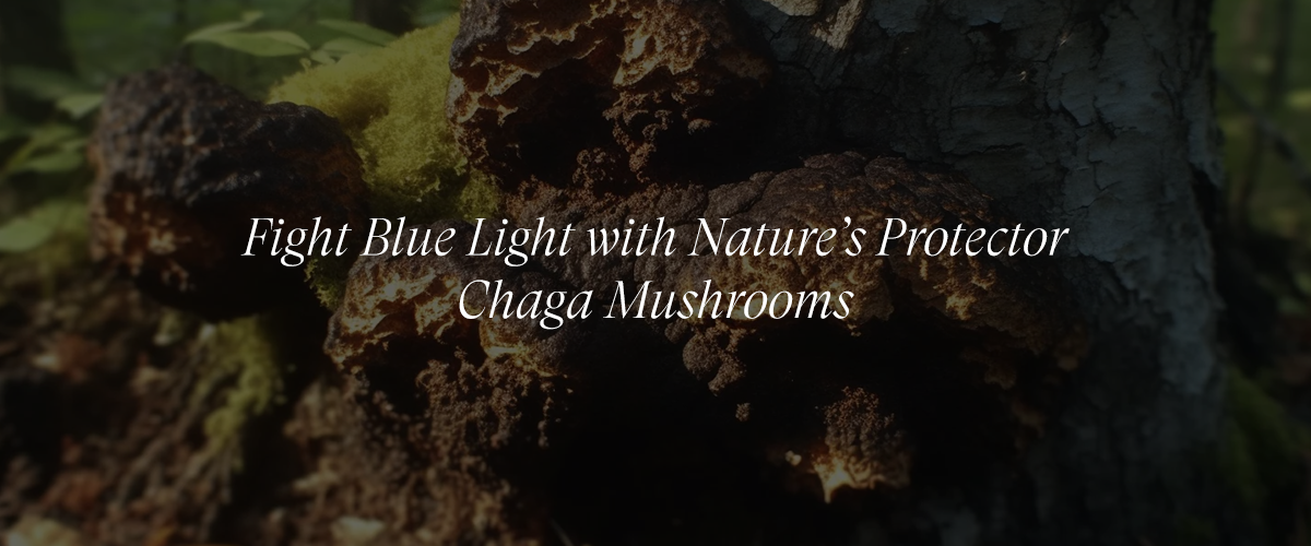Chaga Mushroom and Blue Light Protection: Defending Your Skin in the Digital Age