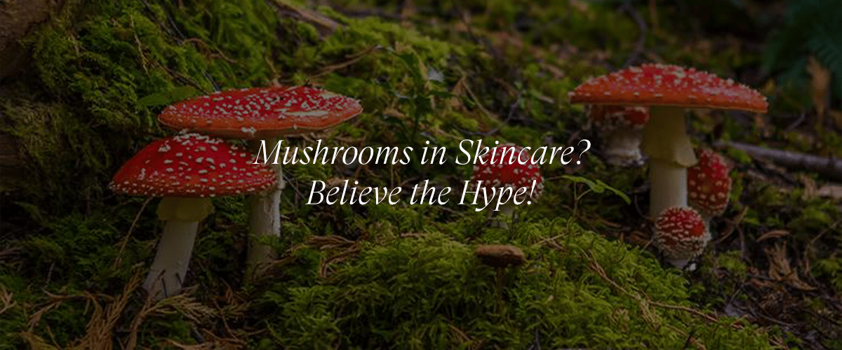 How Mushroom Extract Can Improve Skin Texture