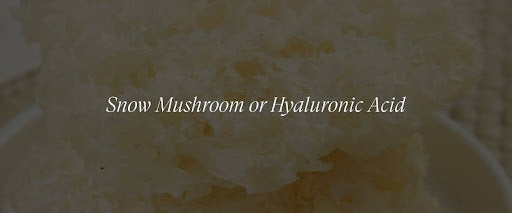 Snow Mushroom vs Hyaluronic Acid: The Ultimate Comparison