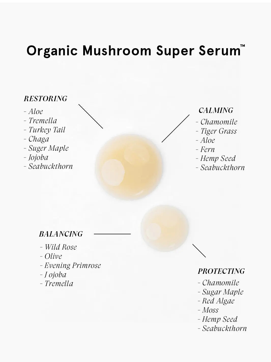 Organic Mushroom Super Serum FRWRD Skincare